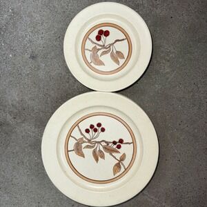 Anchor Hocking WILD CHERRY Ironstone Dinnerware Set Of 11
